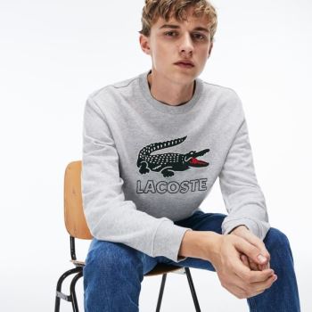 Lacoste Graphic Croc Sweatshirt Gri | DKeW8OMS