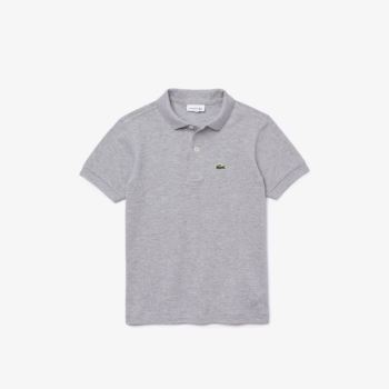 Lacoste Petit Piqué Polo Gri | DCK9oRjr