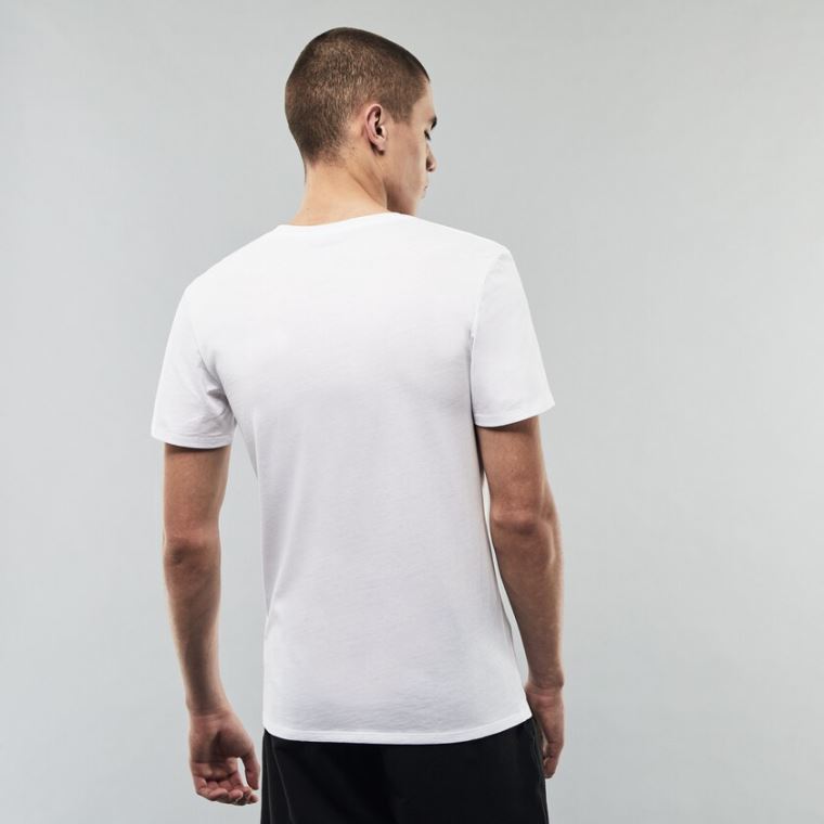 Lacoste 3 Pack of Plain T-Shirts Beyaz | YpWzT4KJ