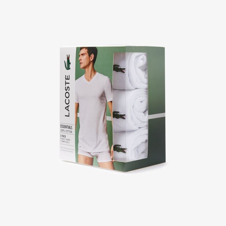 Lacoste 3 Pack of Plain T-Shirts Beyaz | YpWzT4KJ