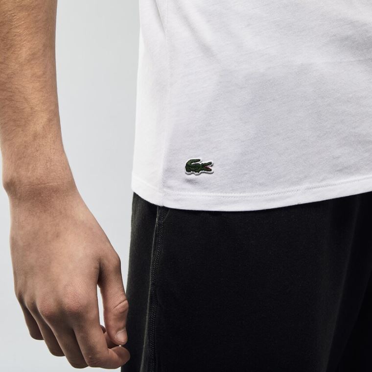 Lacoste 3 Pack of Plain T-Shirts Beyaz | YpWzT4KJ