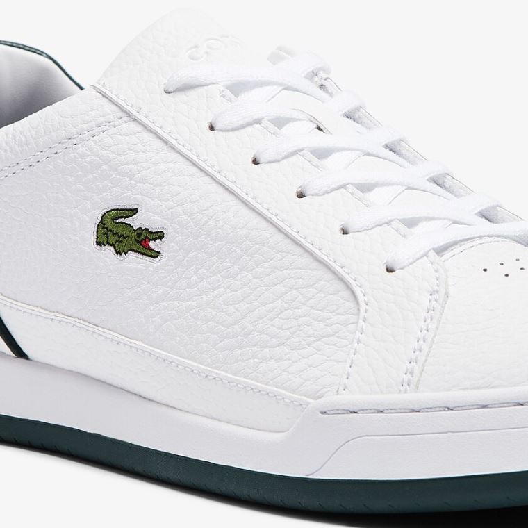 Lacoste Challenge Deri Sneakers Beyaz | yVZafk9K