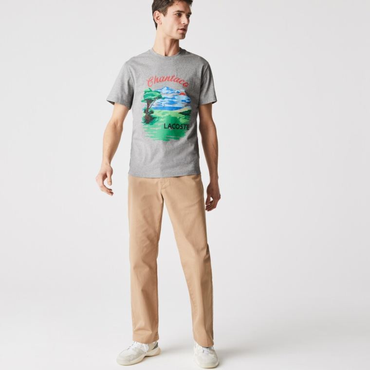 Lacoste Crew Neck Landscape Print Pamuklu T-shirt Gri Kırmızı | UYdBza33