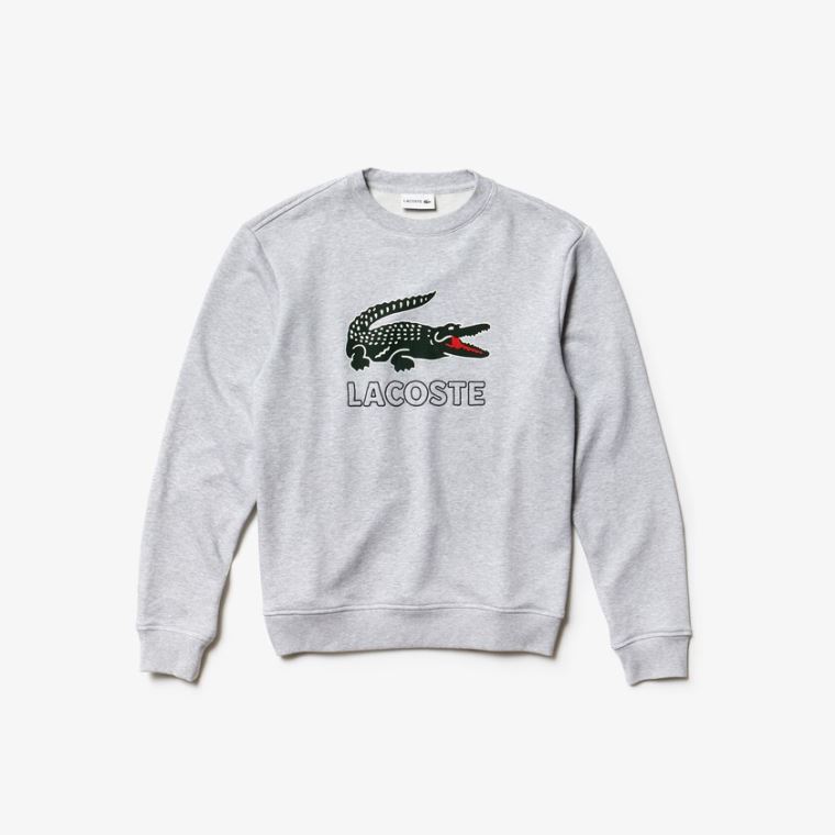 Lacoste Graphic Croc Sweatshirt Gri | DKeW8OMS