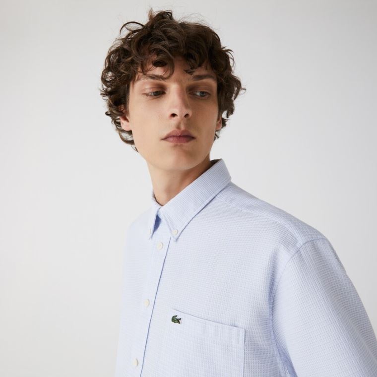 Lacoste Kısa-Sleeved Hafif Pamuklu Shirt Açık Mavi Beyaz | xuUdCEqT