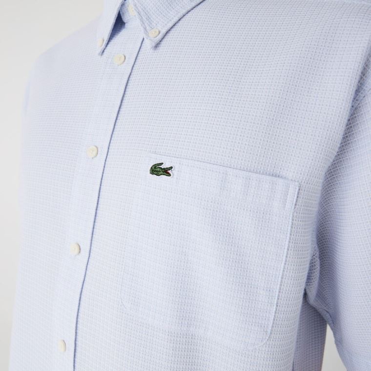 Lacoste Kısa-Sleeved Hafif Pamuklu Shirt Açık Mavi Beyaz | xuUdCEqT