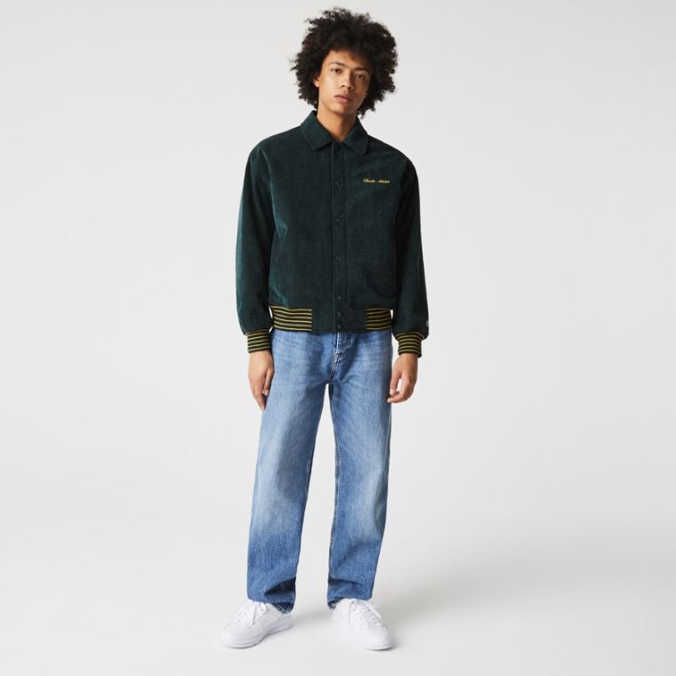 Lacoste LIVE Ribbed Velvet Bomber Jacket Koyu Yeşil | 1kEyya3U