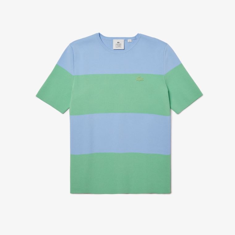 Lacoste LIVE Striped Knit Kazak Mavi Yeşil | SngW5aAx