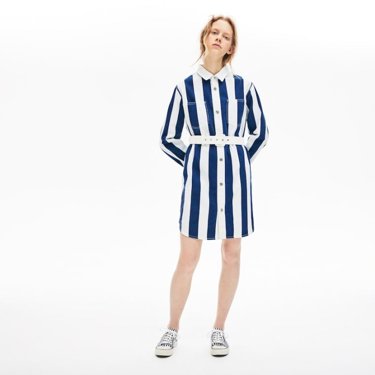 Lacoste LIVE Striped Pamuklu Shirtdress Beyaz Lacivert Mavi | KDJynGCE