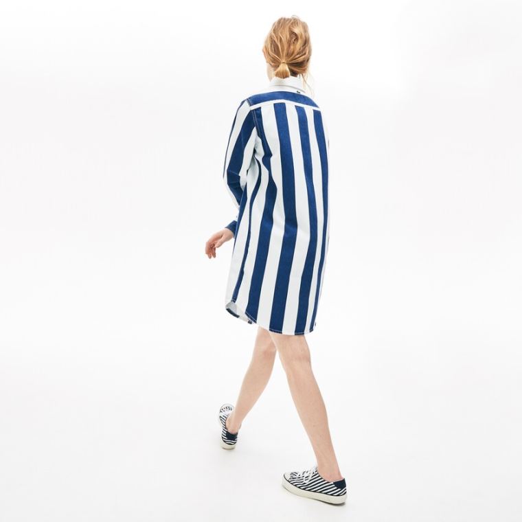 Lacoste LIVE Striped Pamuklu Shirtdress Beyaz Lacivert Mavi | KDJynGCE