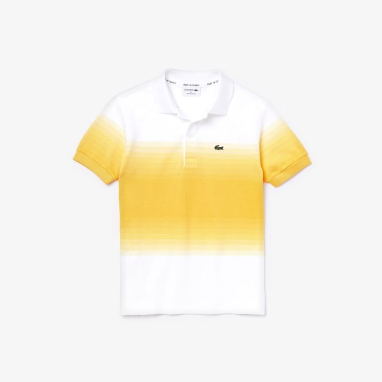 Lacoste Made in France Pamuklu Petit Piqué Ombré Polo Beyaz Sarı | 3MjXtY2H