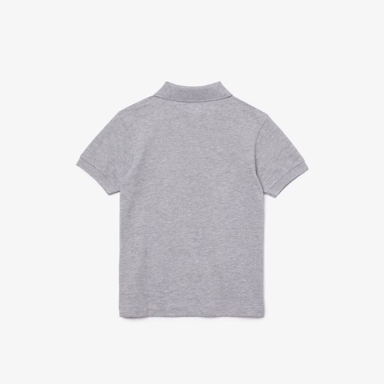 Lacoste Petit Piqué Polo Gri | DCK9oRjr