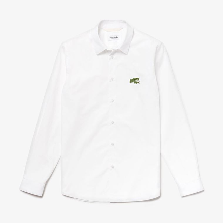 Lacoste Regular Fit Badge Logo Shirt Beyaz | bnZUnCdu