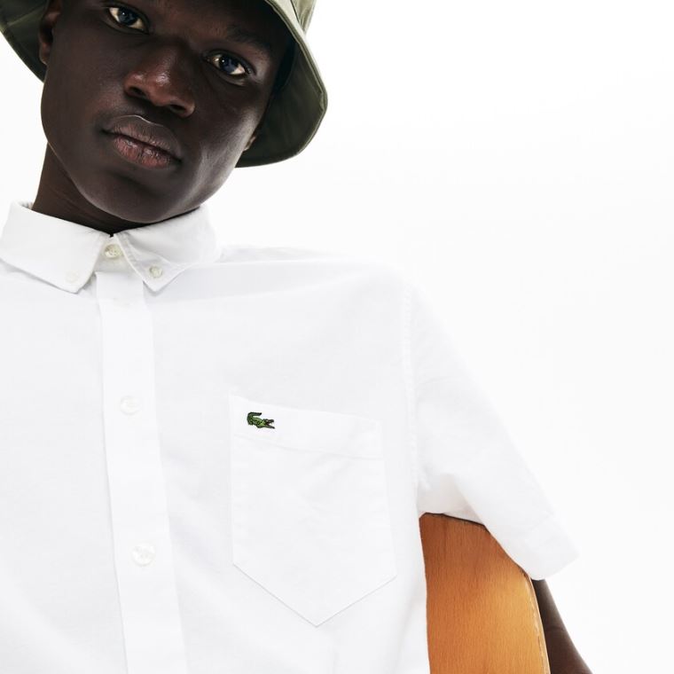 Lacoste Regular Fit Oxford Pamuklu Shirt Beyaz | N3W4wxsx