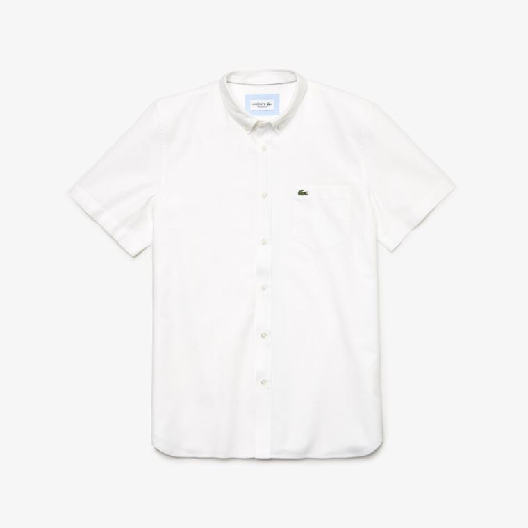 Lacoste Regular Fit Oxford Pamuklu Shirt Beyaz | N3W4wxsx