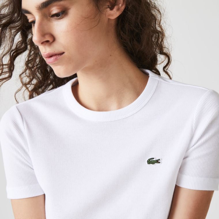 Lacoste Soft Pamuklu Crew Neck T-shirt Beyaz | lvk1EBV7