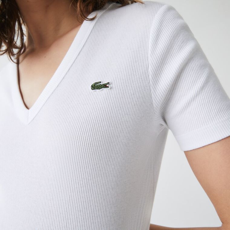 Lacoste Soft Pamuklu V-Neck T-shirt Beyaz | QK32nUbS