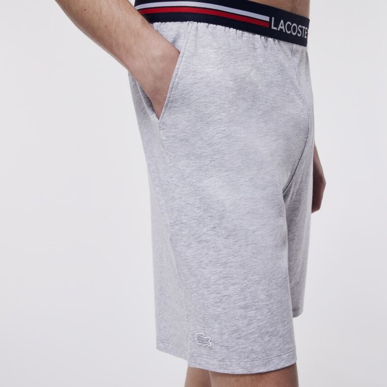 Lacoste Striped-Belli Long Boksör Külot Gri | zOi8pRWL