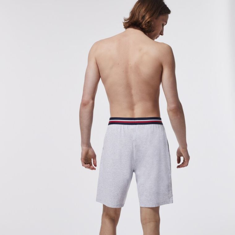 Lacoste Striped-Belli Long Boksör Külot Gri | zOi8pRWL