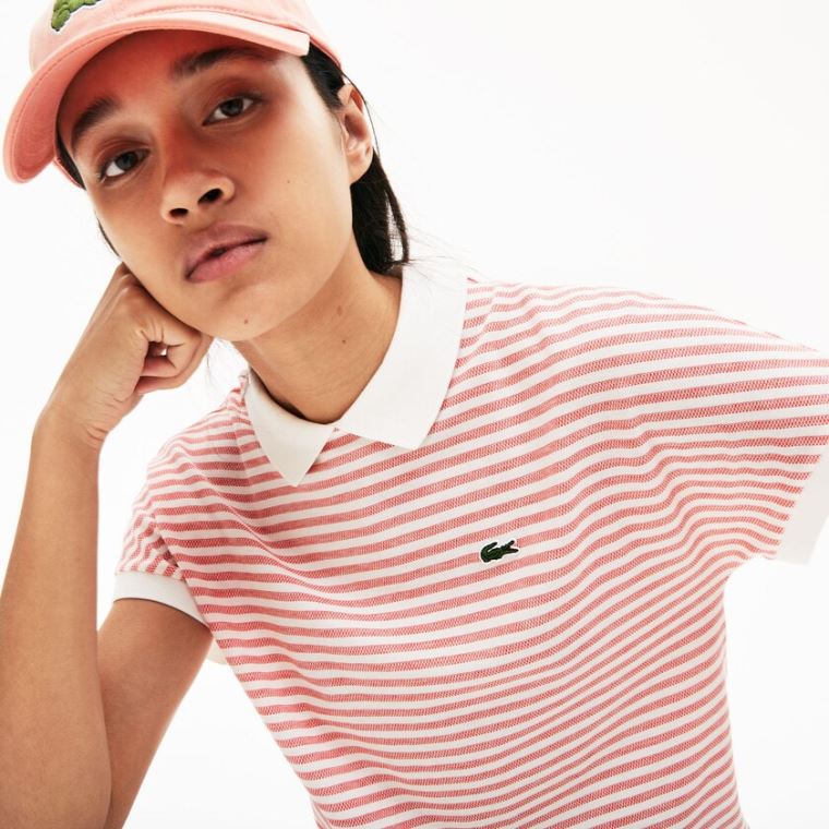 Lacoste Striped Polo Kırmızı Beyaz | XBt0iStD