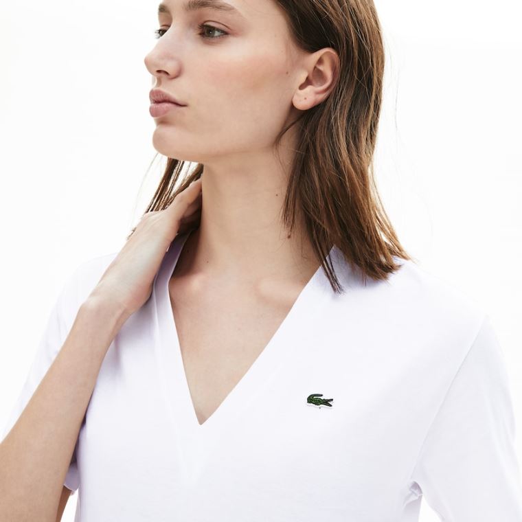 Lacoste V-Neck Premium Pamuklu T-shirt Beyaz | 0OMLqRMM