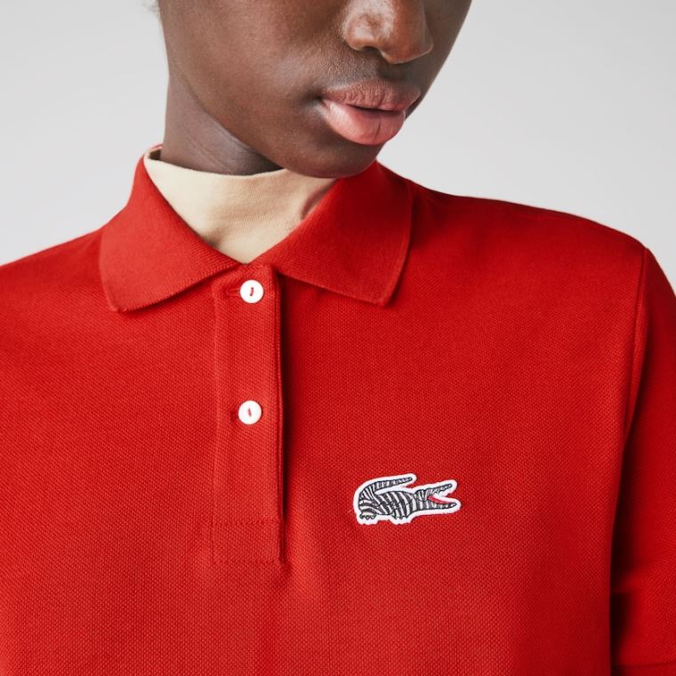 Lacoste x National Geographic Pamuklu Piqué Polo Shirt Elbise Kırmızı Beyaz | Ac9grqhs