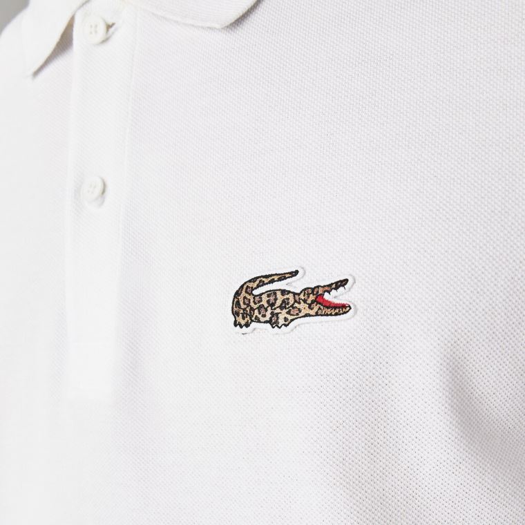 Lacoste x National Geographic Regular Fit Organic Pamuklu Polo Shirt Beyaz | 83ndG1qc