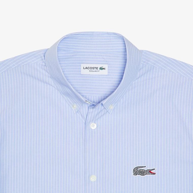 Lacoste x National Geographic Regular Fit Striped Pamuklu Shirt Mavi Beyaz | oVt1dRW2